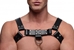 English Bull Dog Harness with Cock Strap - AF636