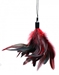 GreyGasms Scarlet Plume Feather Tickler - AC981