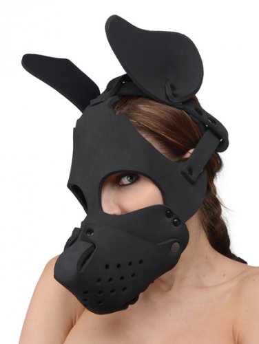 Neoprene Dog Hood with Removable Muzzle Hoods and Muzzles