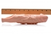 7 Inch Thin and Veiny Penis Extension - AF371