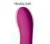 Pleasure Petal Silicone Rabbit Vibrator with Rotating Petals - AF394