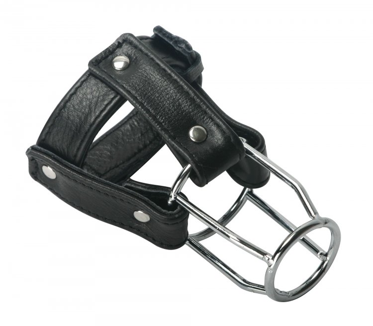 Strict Leather - Strict Leather Stallion Guard #LE500-Reg
