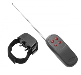Cock Shock Remote CBT Electric Cock Ring Cock and Ball Torment, Cock Rings, Electrosex Gear