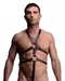 Male Full Body Harness - AF249