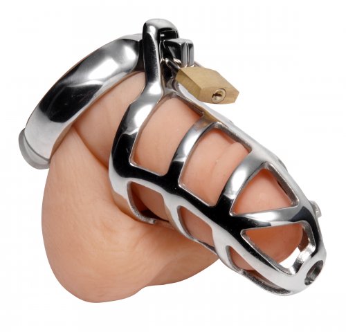 Detained Stainless Steel Chastity Cage Chastity, Chastity for Him, Metal Chastity Devices