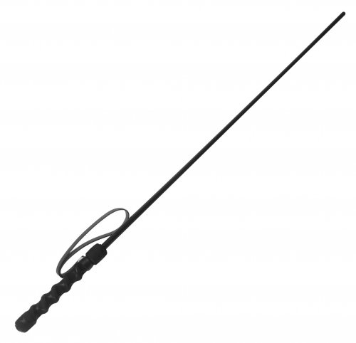 Intense Impact Cane- Black Impact, Canes and Rods
